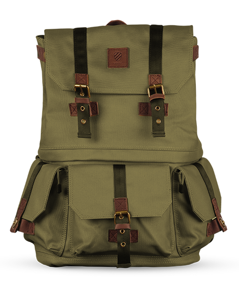 ALPHA PRO Langly Development